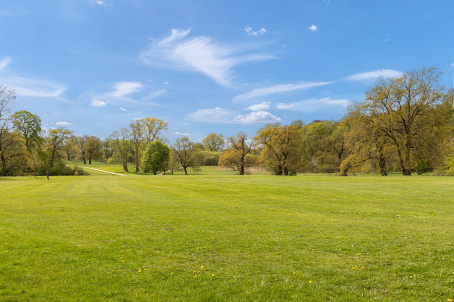 Ihr Zuhause am Jenischpark - Jenischpark (6740)