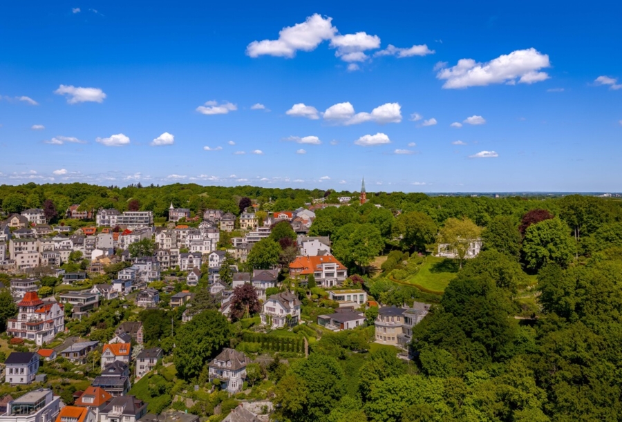 Leben mit Elbpanorama - Luftbild (7086)